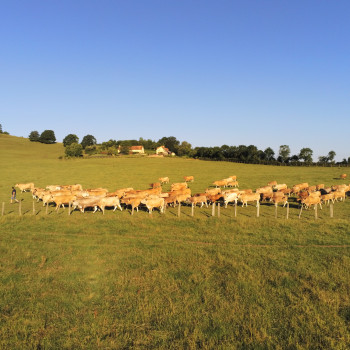 Découvrez ici nos vidéos